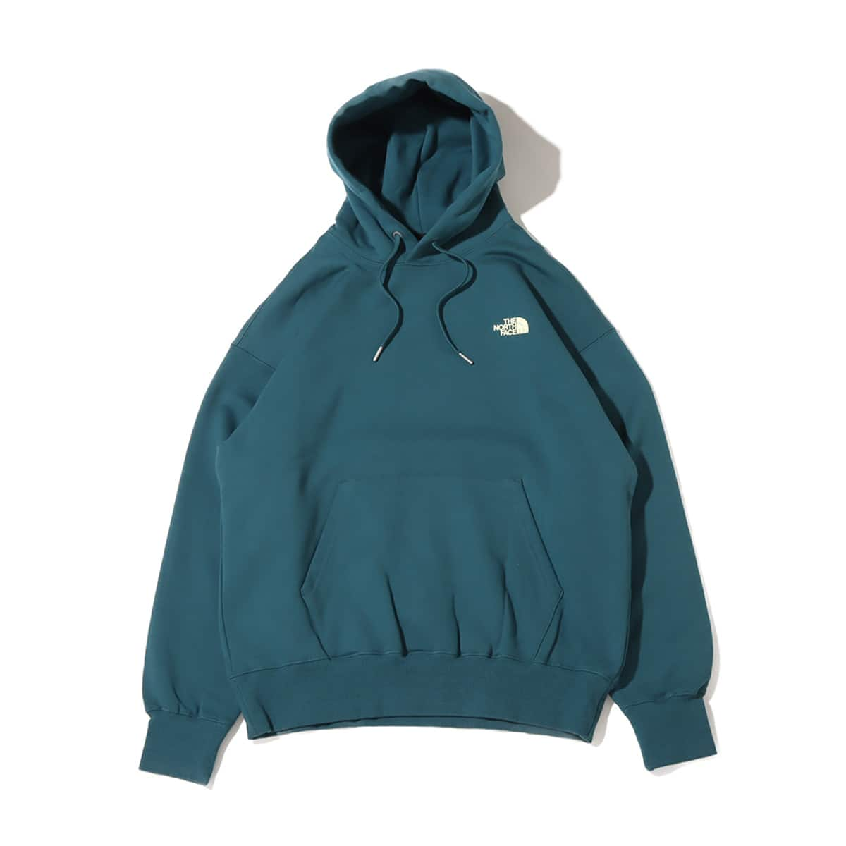 THE NORTH FACE NEVER STOP ING HOODIE Aグリーン