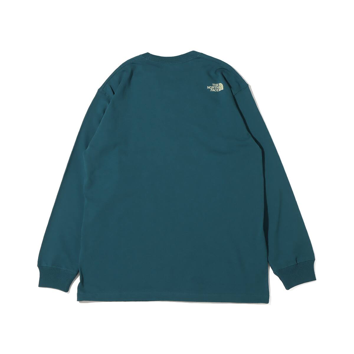 THE NORTH FACE L/S NEVER STOP ING TEE Aグリーン 23FW-I