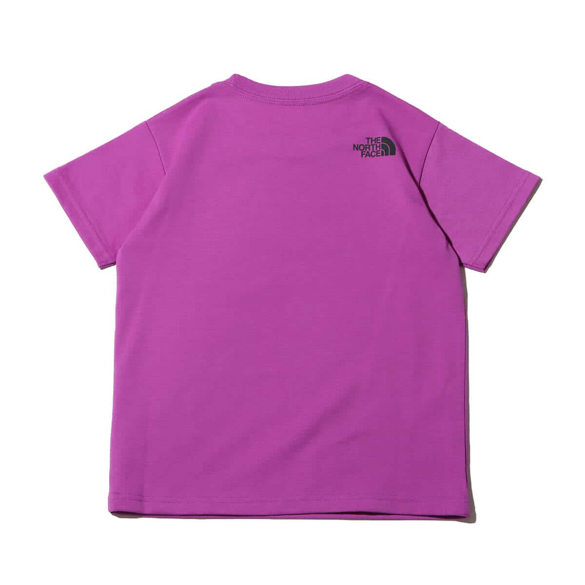 THE NORTH FACE S/S Your Own Playground Tee オーバジーン の画像
