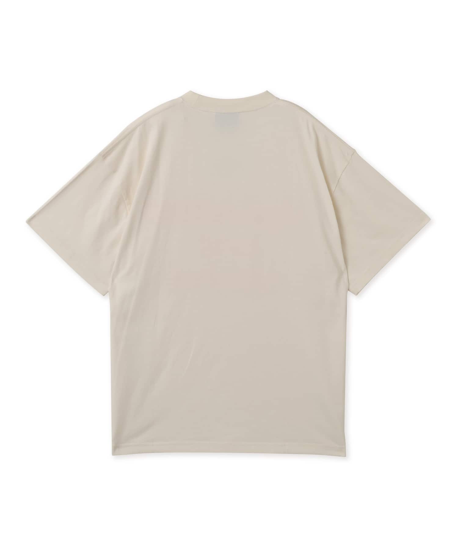 PLEASURES x OASIS NORDIQUE T-SHIRT WHITEの画像