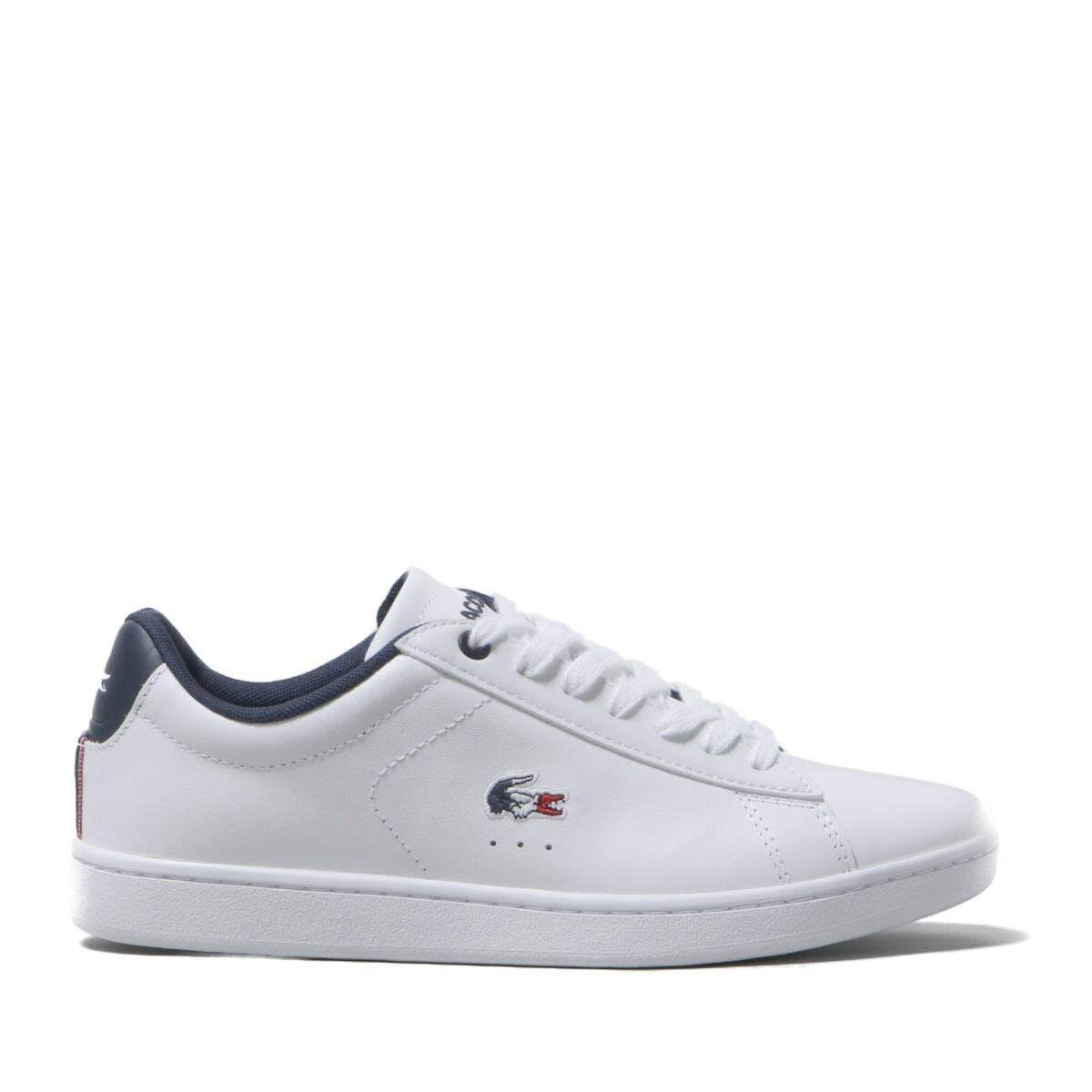 クリスマスツリー特価！ LACOSTE(ラコステ) 7 