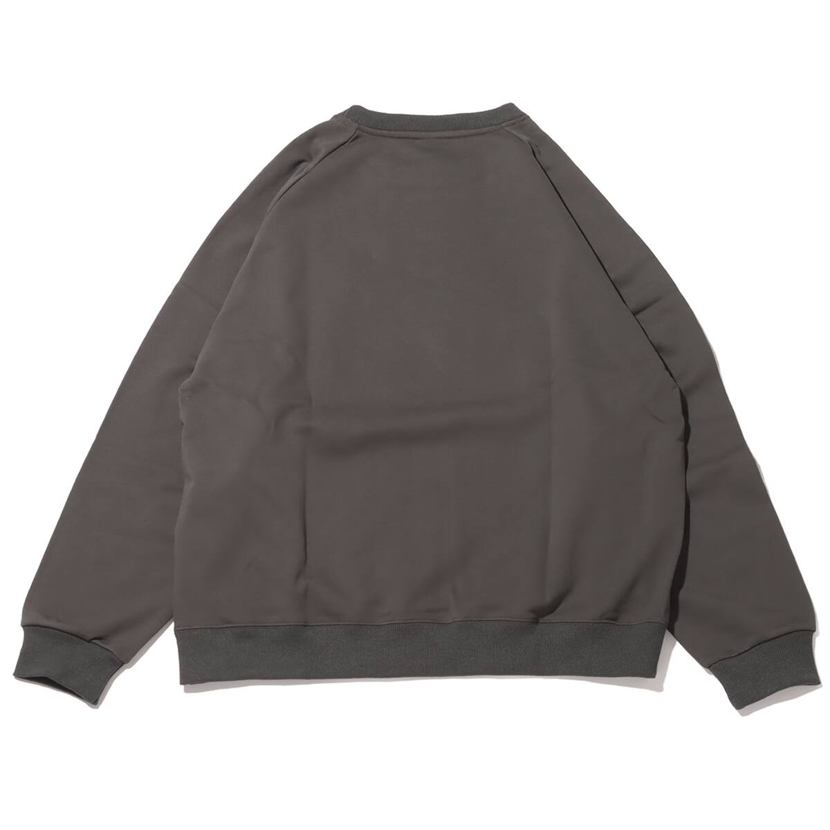 Reebok カラークルーネック スウェット トップス DARK GRAY 23FW-Iの画像