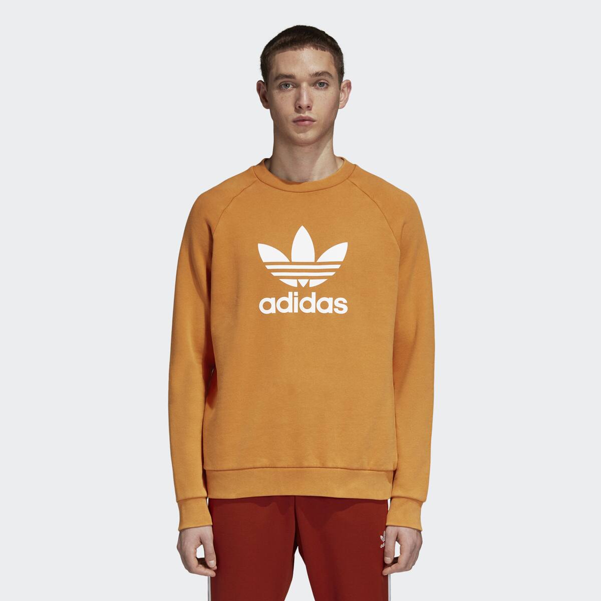 adidas originals trefoil crewneck sweatshirt