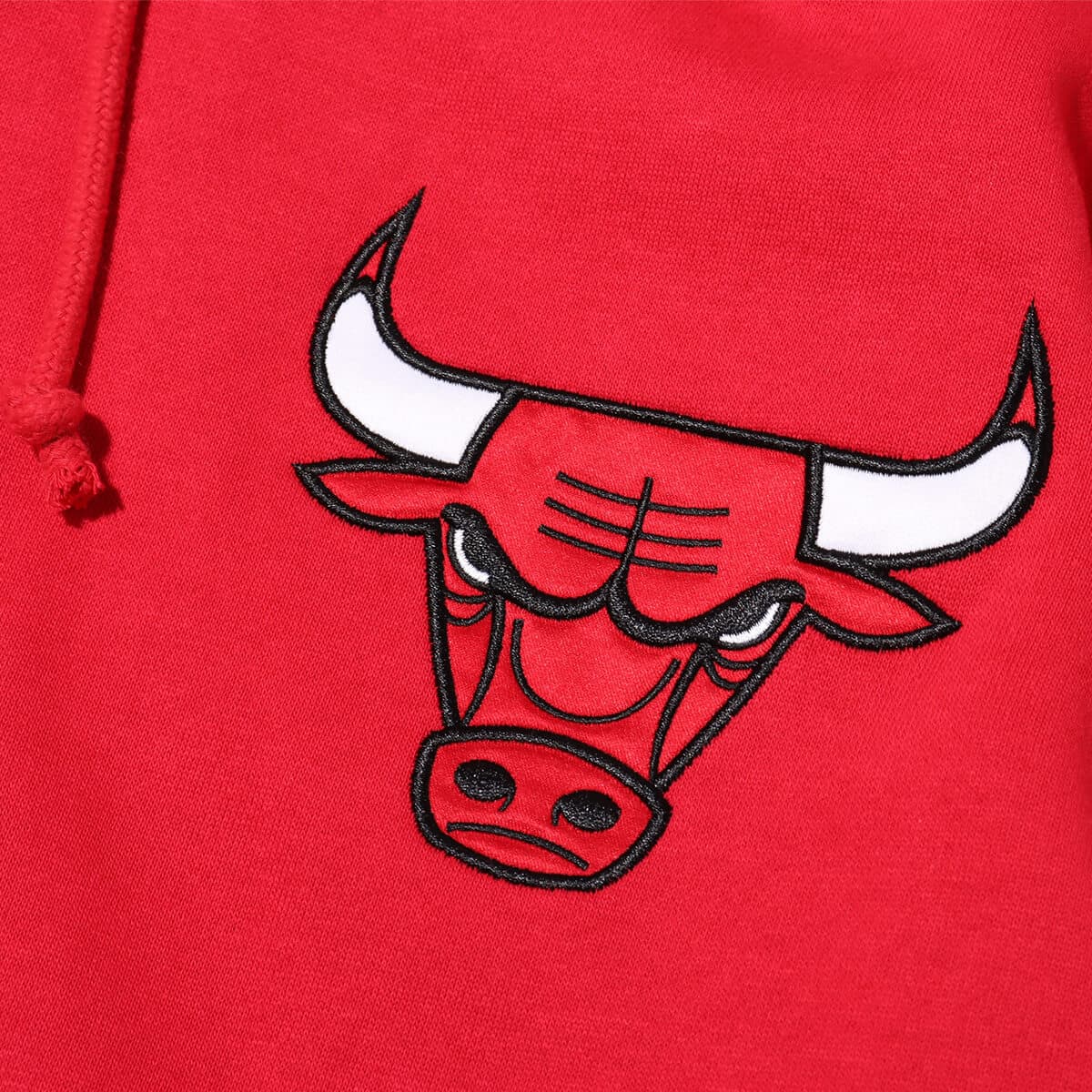 Mitchell & Ness N&N PLAYER FLEECE CBU D.RODMAN REDの画像