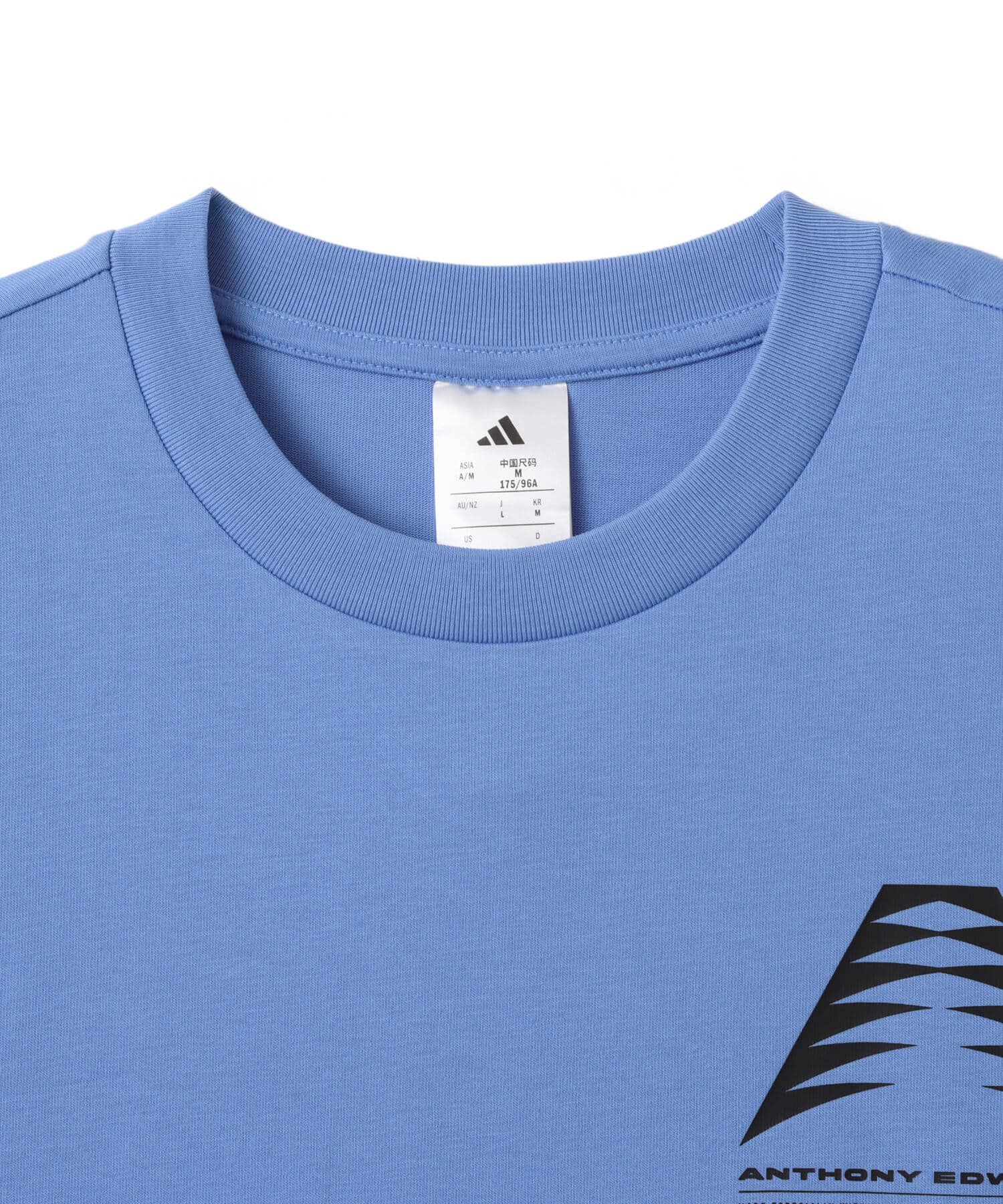 adidas ANTHONY EDWARDS GFX TEE ブルーフュージョンの画像