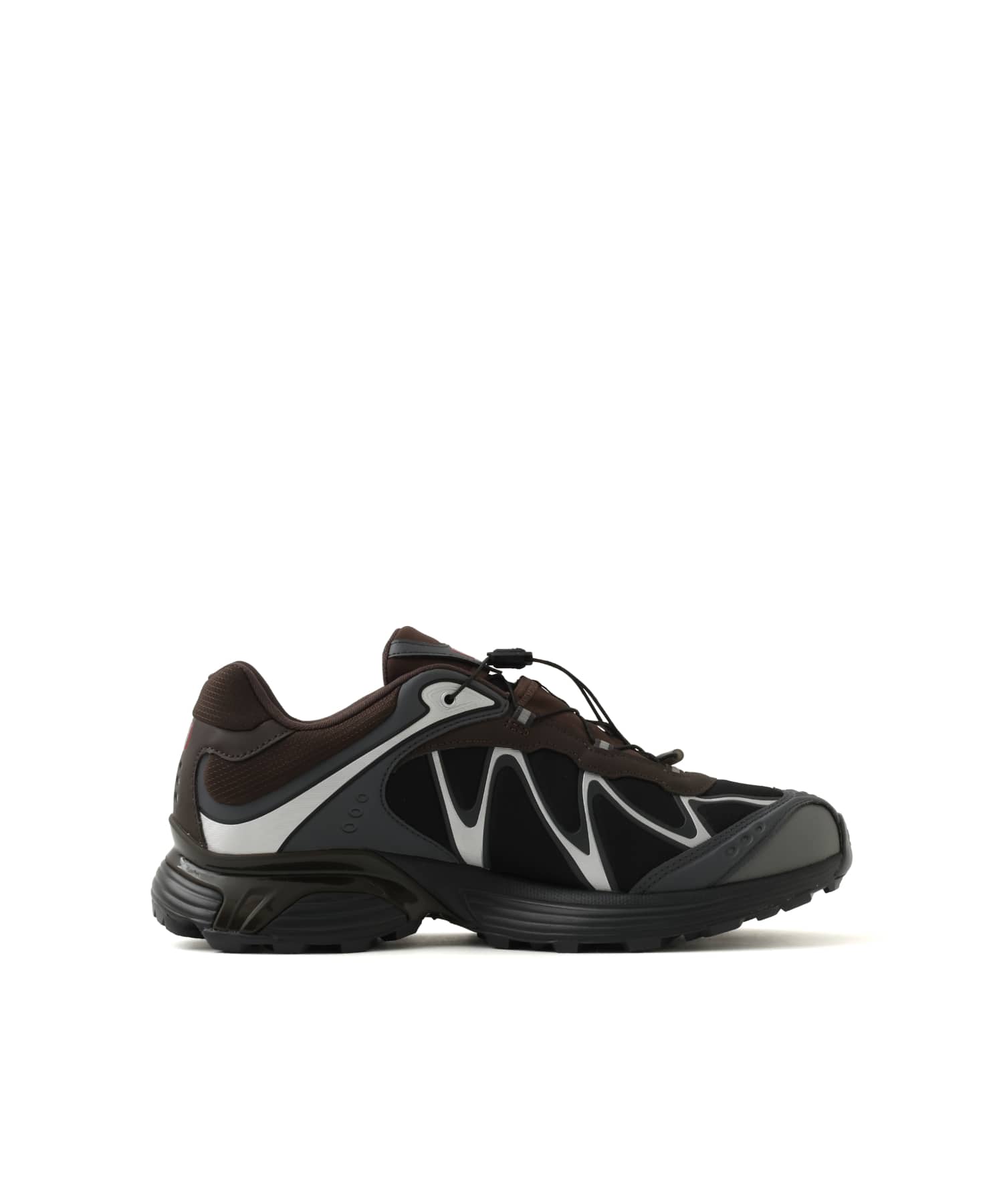 SALOMON XT-WHISPER GTX DELICIOSO/ASPHALT/CASTLEROCKの画像