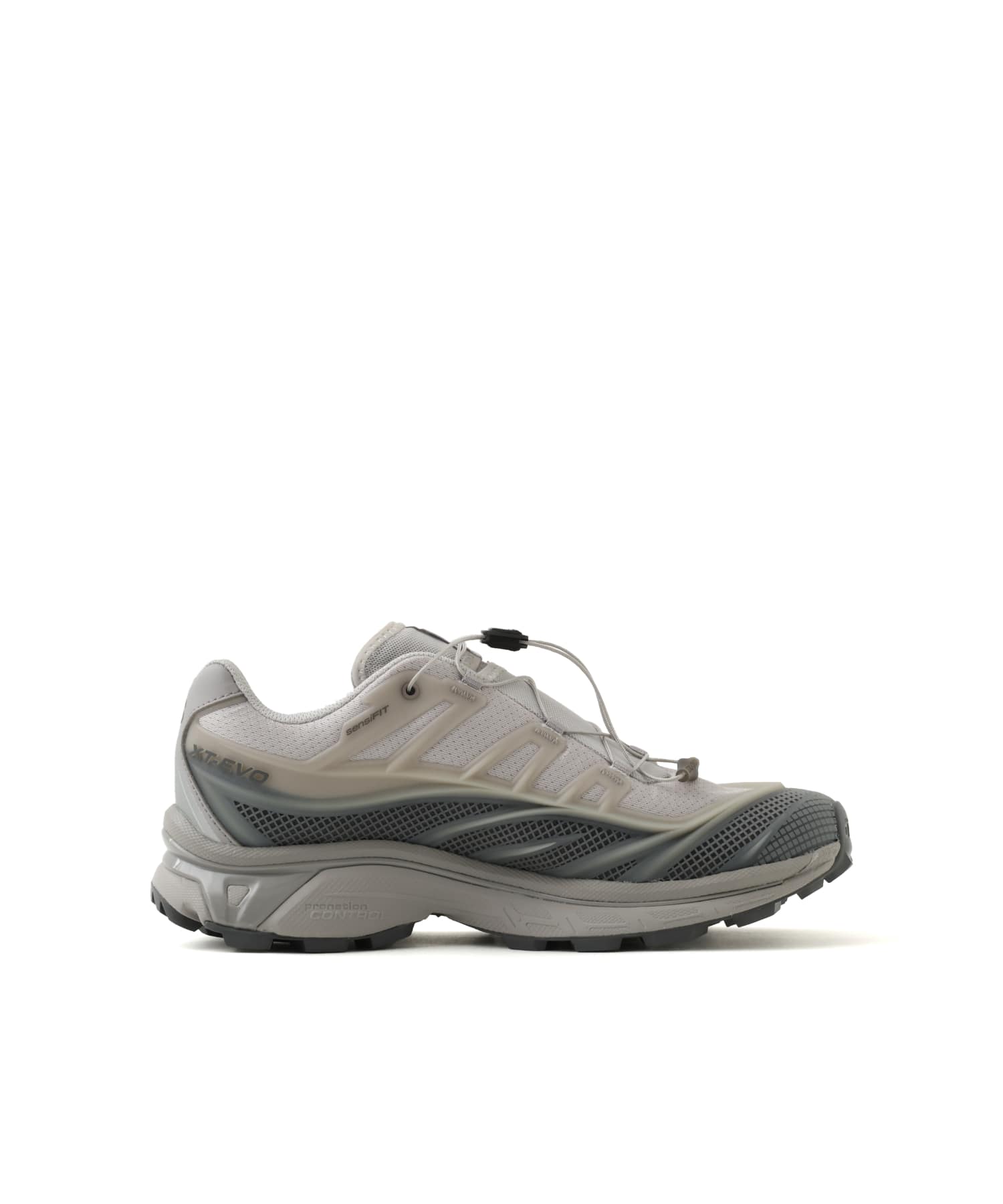 SALOMON XT-EVO ALLOY/CASTLEROCK/FTW SILVERの画像