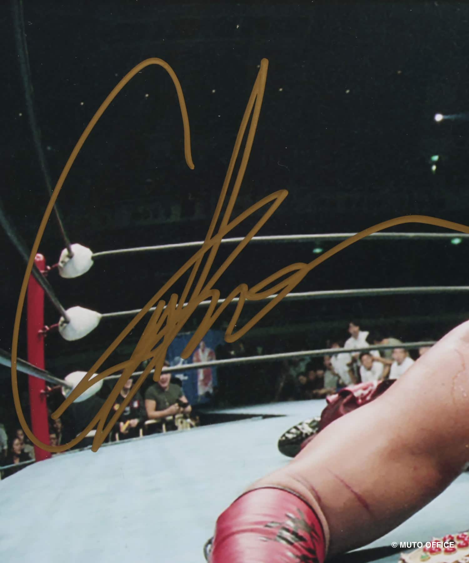 atmos The Great Muta Signed Photo Frame #7 MULTIの画像