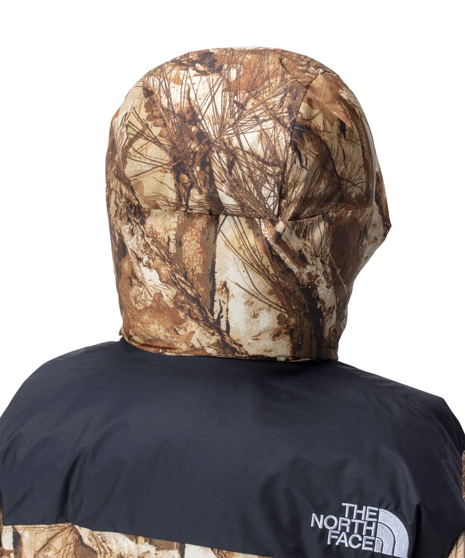 THE NORTH FACE Novelty Baltoro Light Jacket フォレストフロアの画像