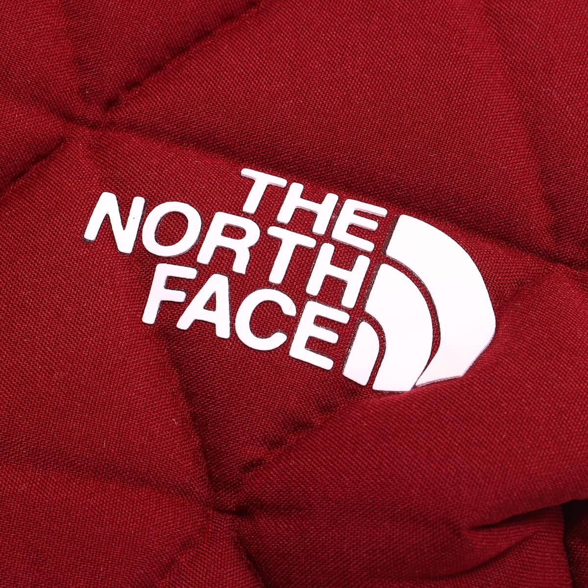 THE NORTH FACE GEOFACE POUCH コードバン 22FW-Iの画像