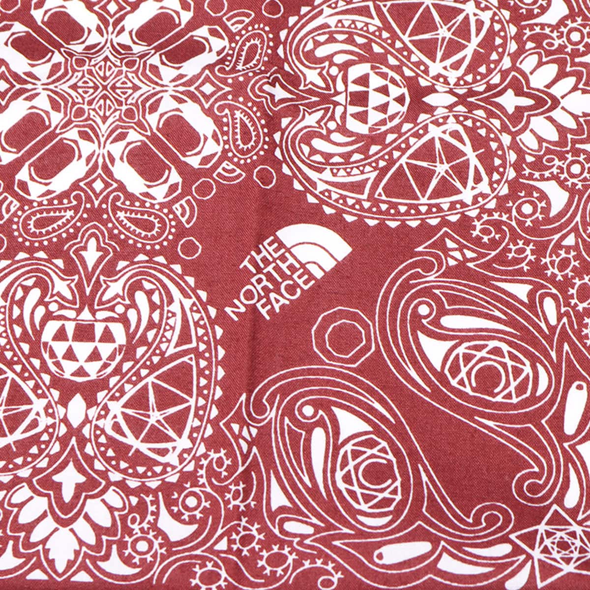 THE NORTH FACE TNF GEODOME PAISREY BANDANA ワインレッド 21FW-Iの画像