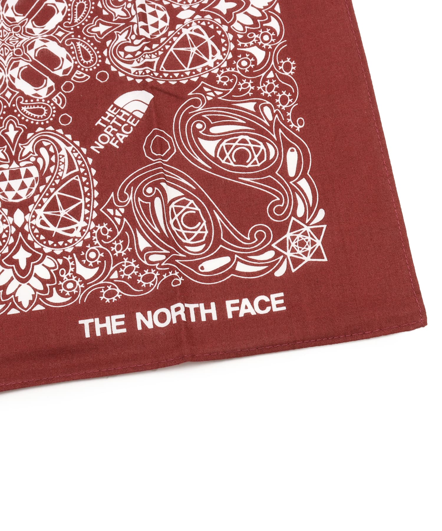 THE NORTH FACE Geodome® Paisley Bandana スマックの画像