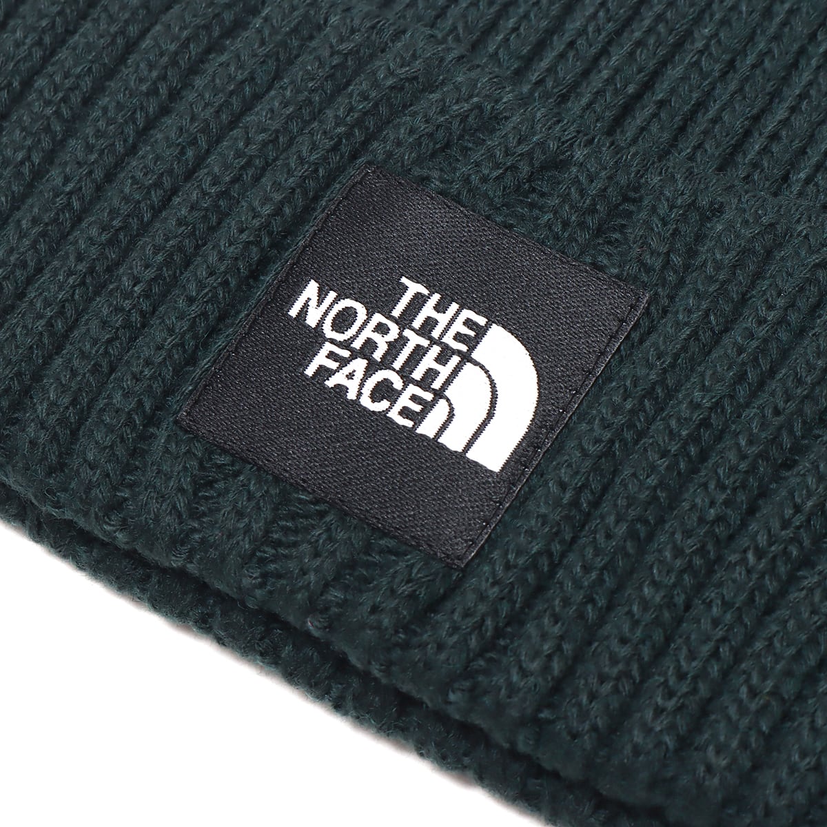 THE NORTH FACE CAPPUCHO LID ポンデローサグリーン 22FW-Iの画像