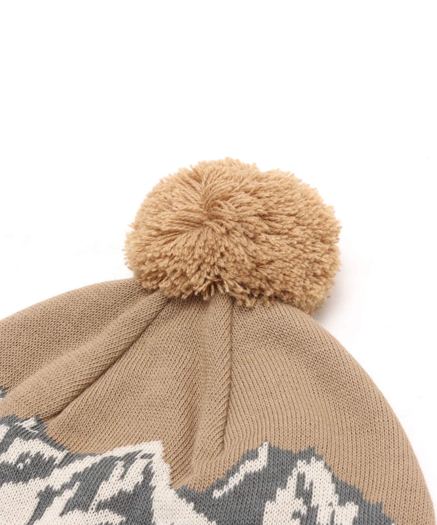 THE NORTH FACE Snow Bum Beanie マッシュルームの画像