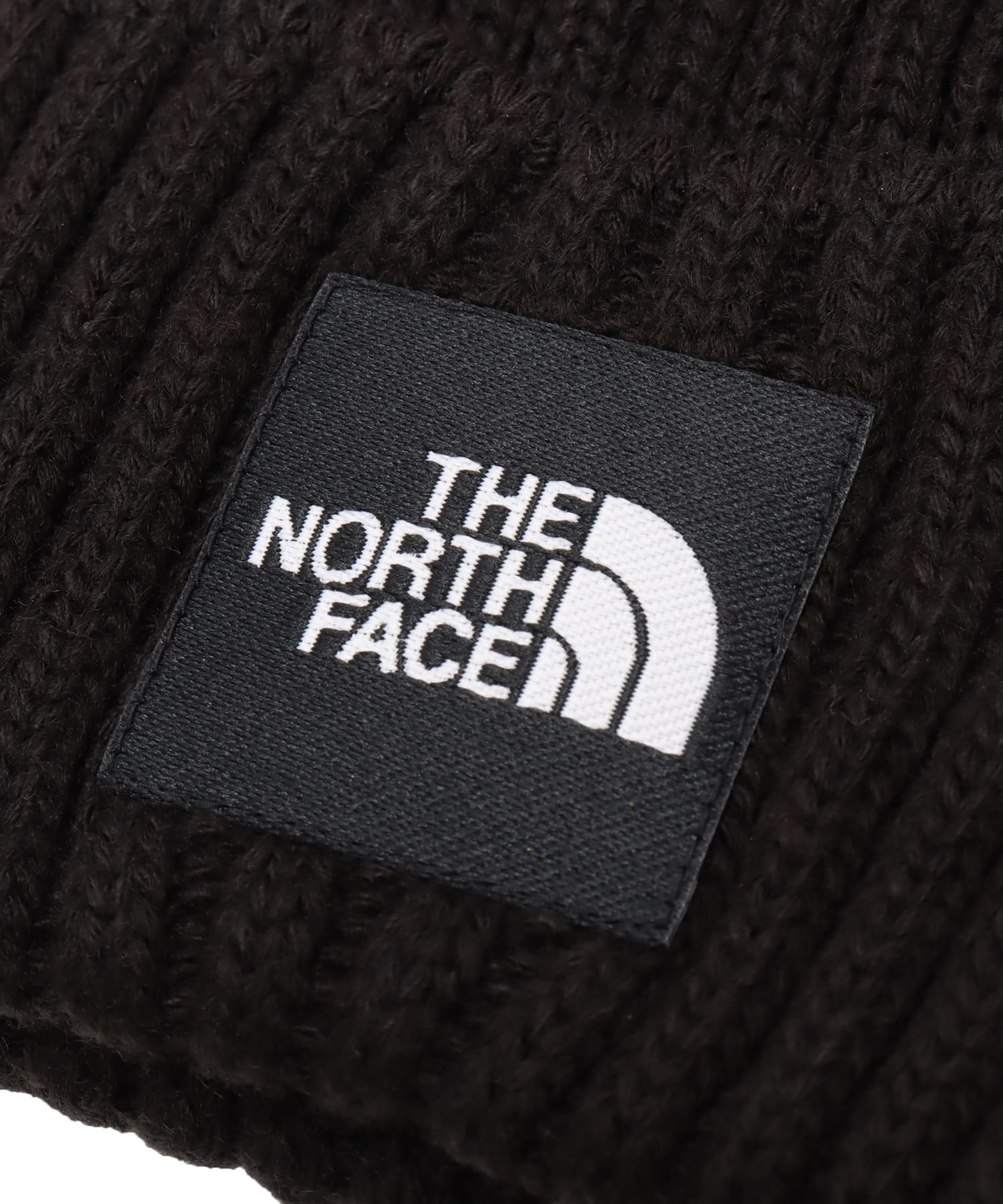 THE NORTH FACE Cappucho Lid ブラックの画像