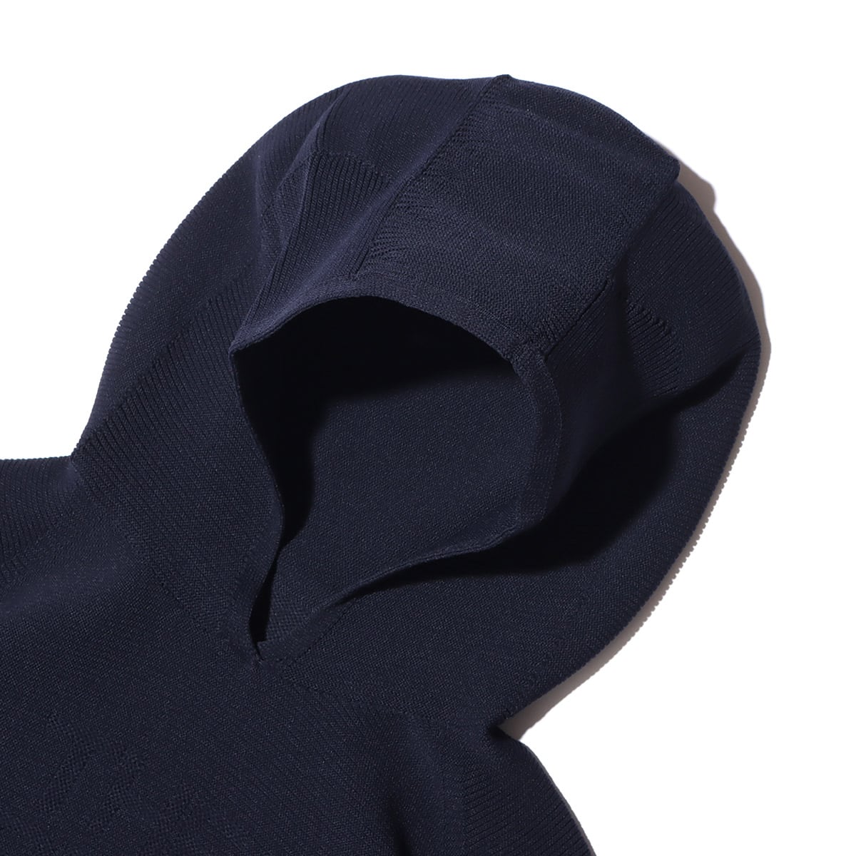THE NORTH FACE GLOBEFIT HOODIE アビエイターネイビー 21FW-I
