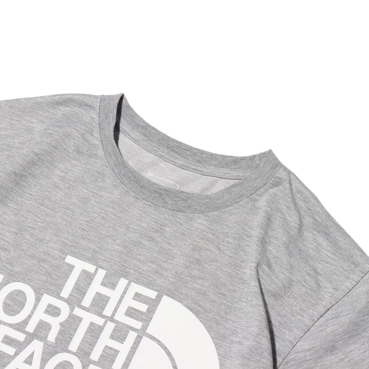 THE NORTH FACE S/S COLOR DOME TEE MIX GRAY 22SS-Iの画像