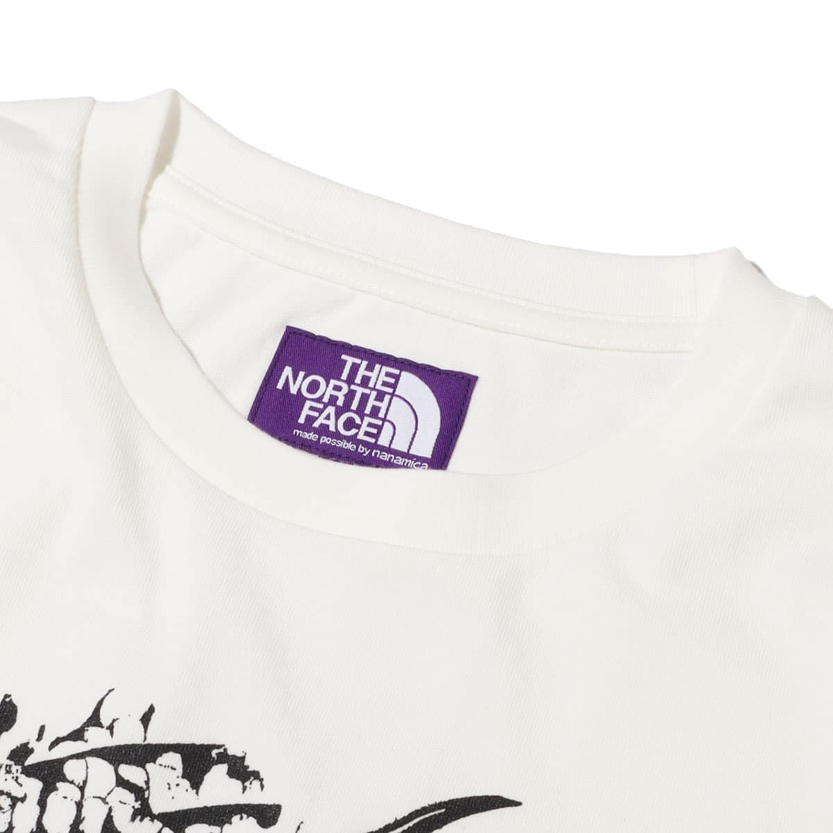 THE NORTH FACE PURPLE LABEL COOLMAX H/S Graphic Tee TROUT 22SS-I