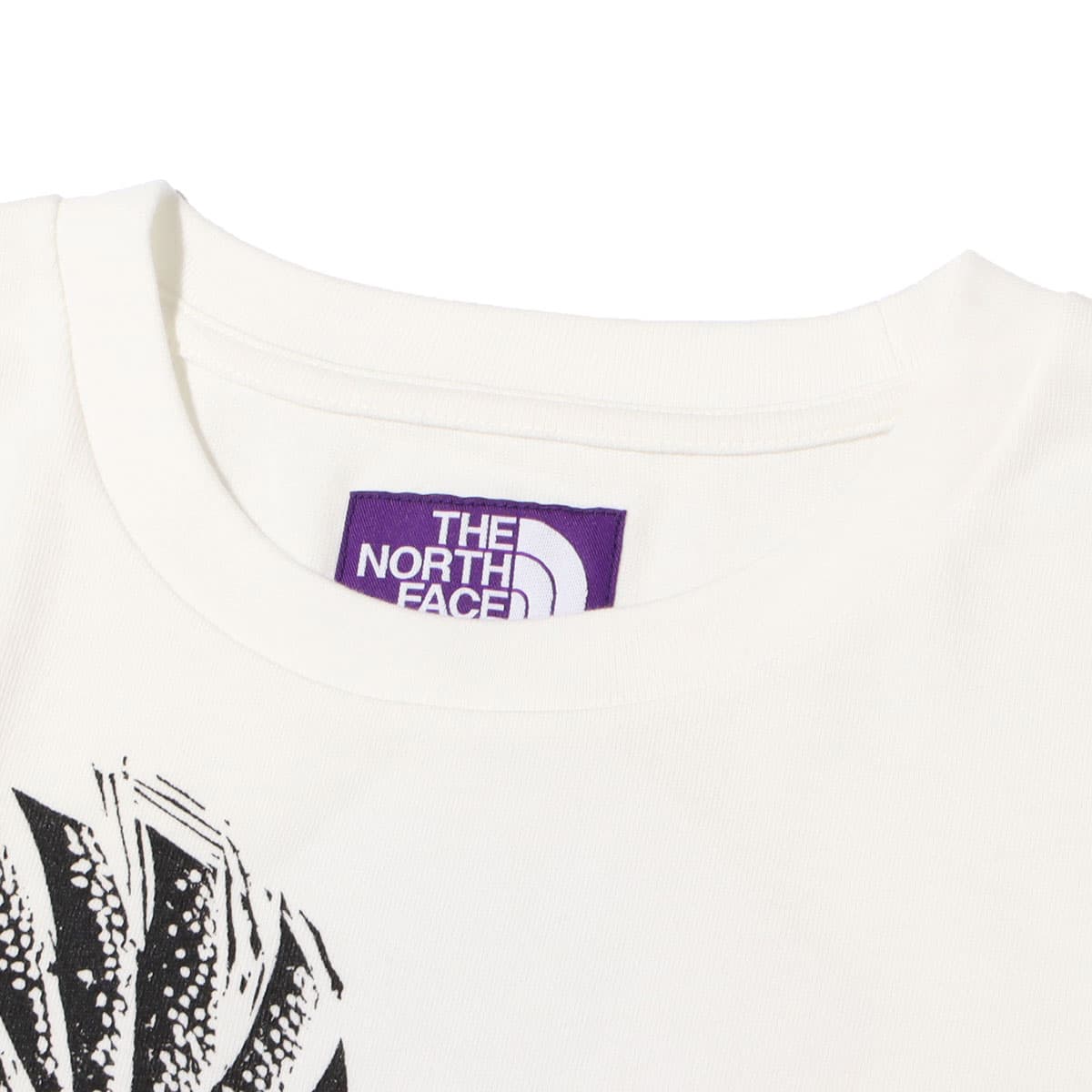 THE NORTH FACE PURPLE LABEL COOLMAX H/S Graphic Tee Blue Jay 22SS-I