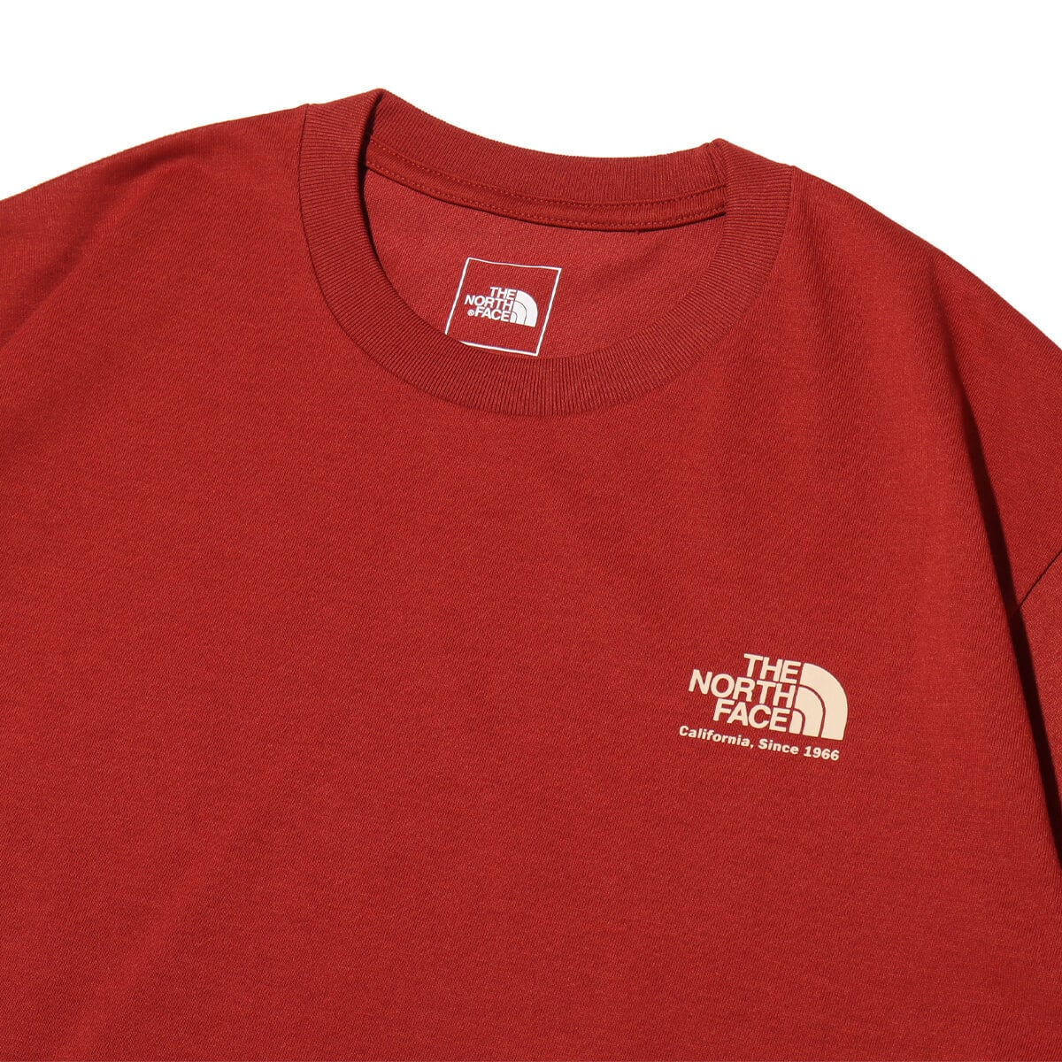 THE NORTH FACE S/S Historical Logo Tee アイアンレッドの画像