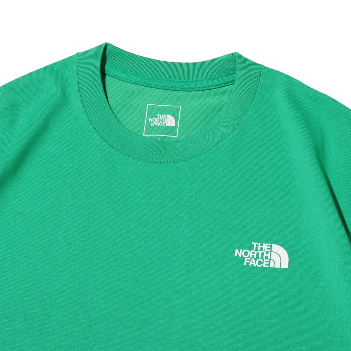 THE NORTH FACE S/S Entrance Permission Tee オプティックエメラルドの画像
