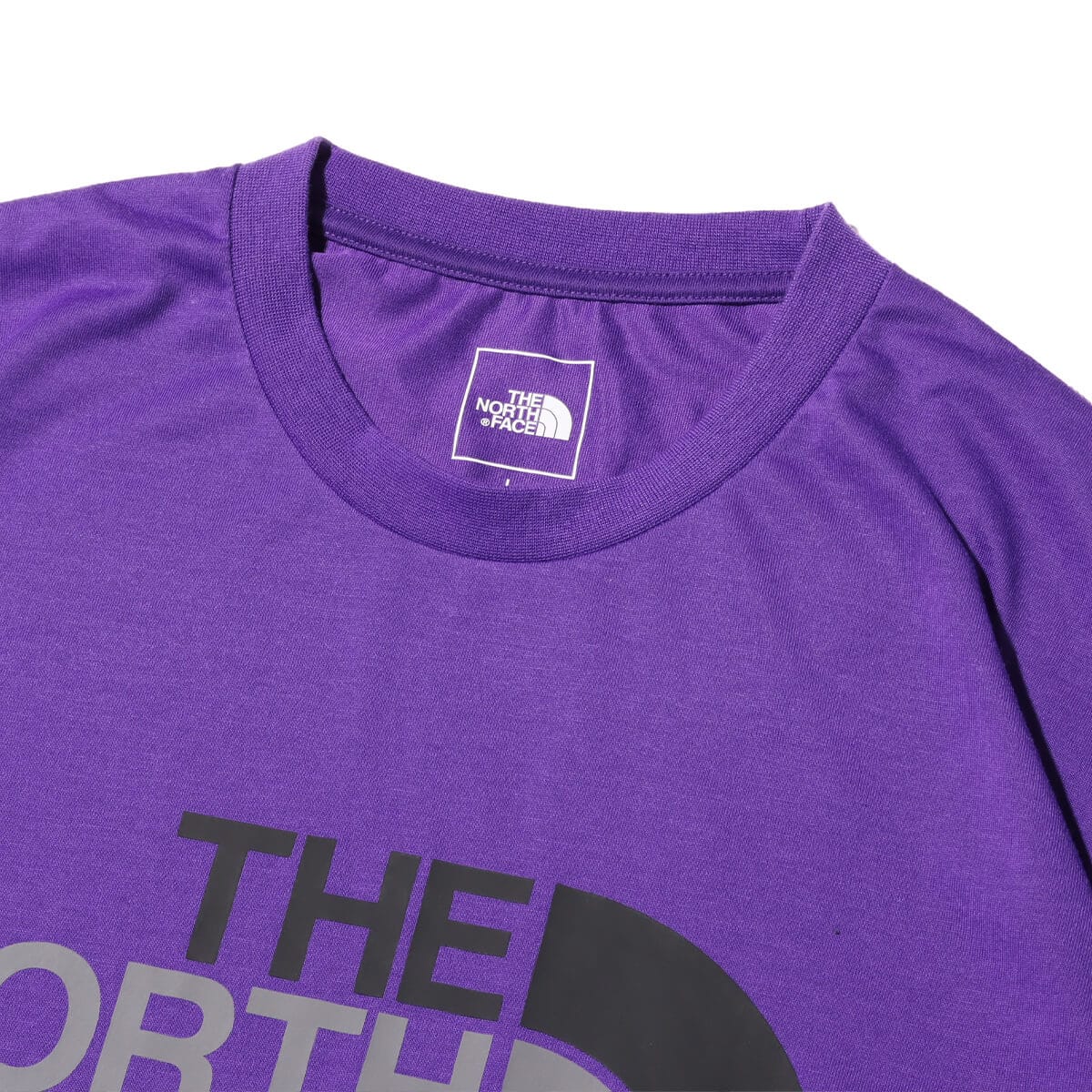 THE NORTH FACE S/S Colorful Logo Tee TNFパープル（ザ・ノース