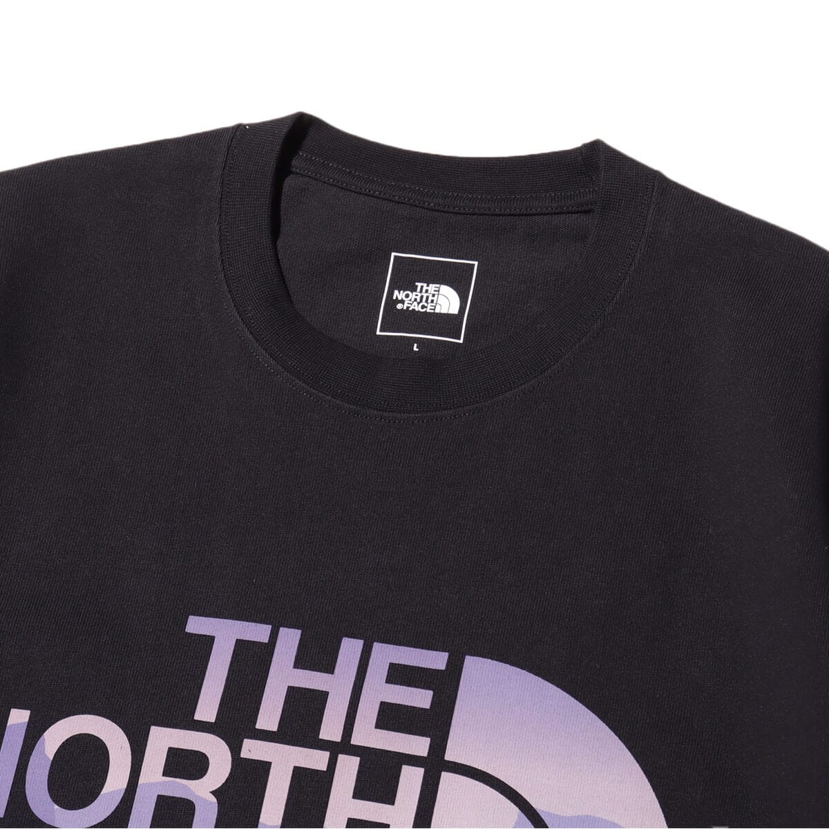 THE NORTH FACE S/S Day Flow Tee ブラックの画像