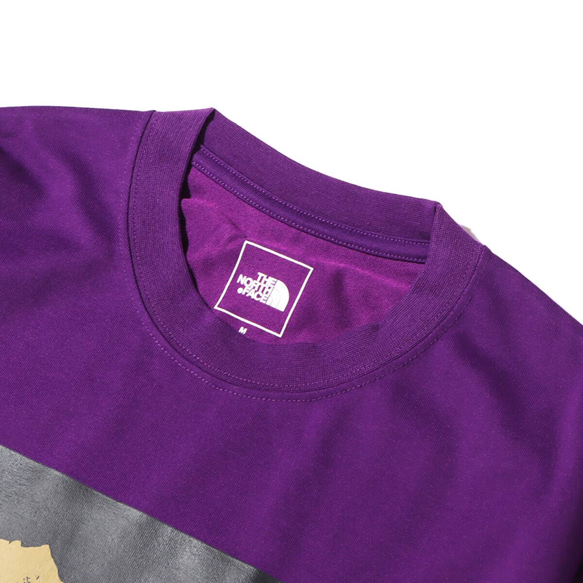 THE NORTH FACE L/S DIGITAL LOGO TEE グラビィティパープル