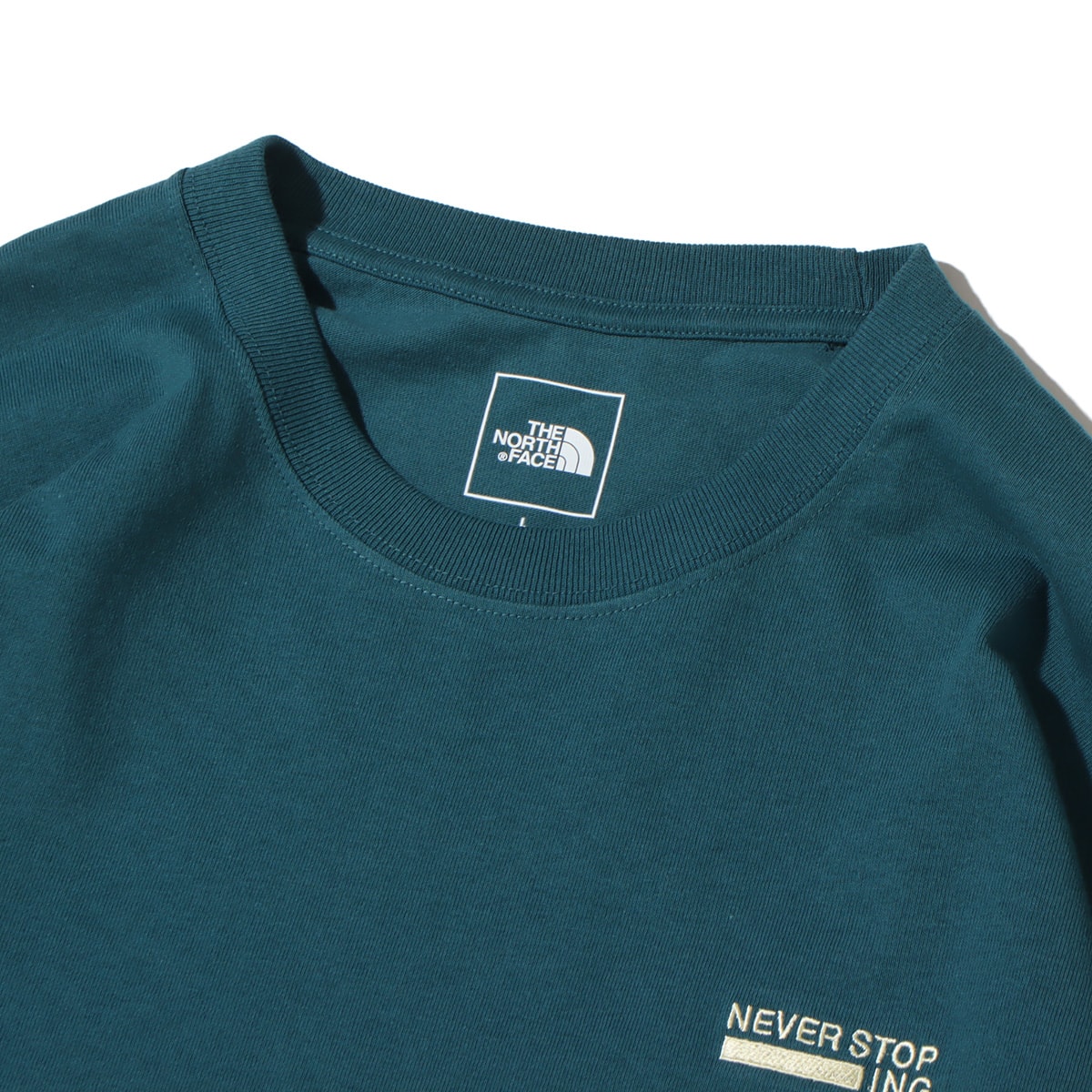 THE NORTH FACE L/S NEVER STOP ING TEE Aグリーン 23FW-I