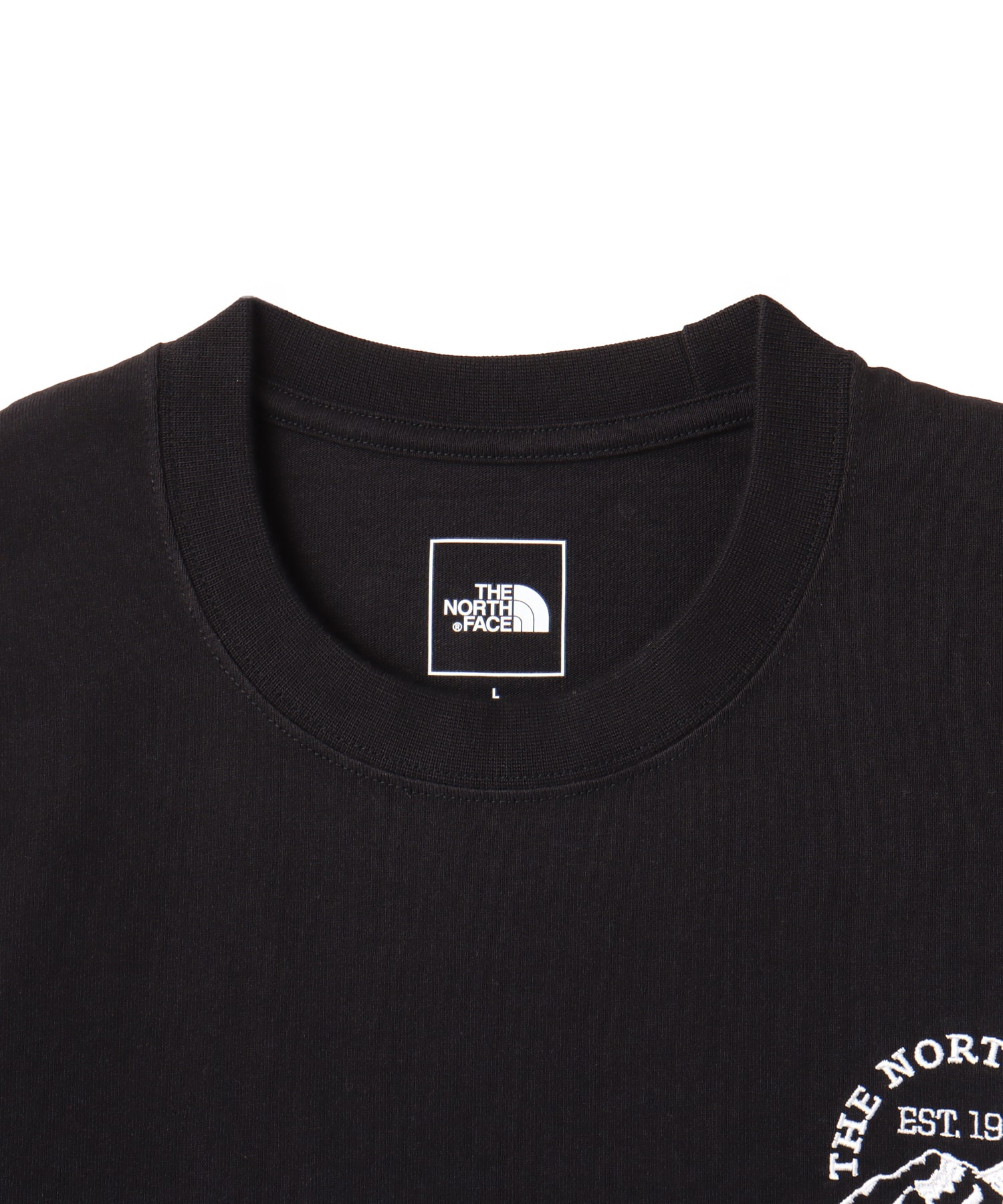 THE NORTH FACE S/S FINE ALPINE Mountain Tee BLACKの画像