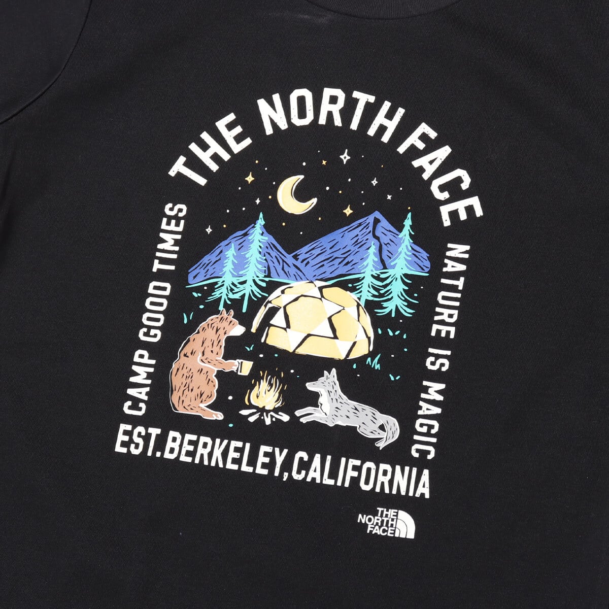 THE NORTH FACE S/S Luminous Camp Graphic Tee ブラックの画像