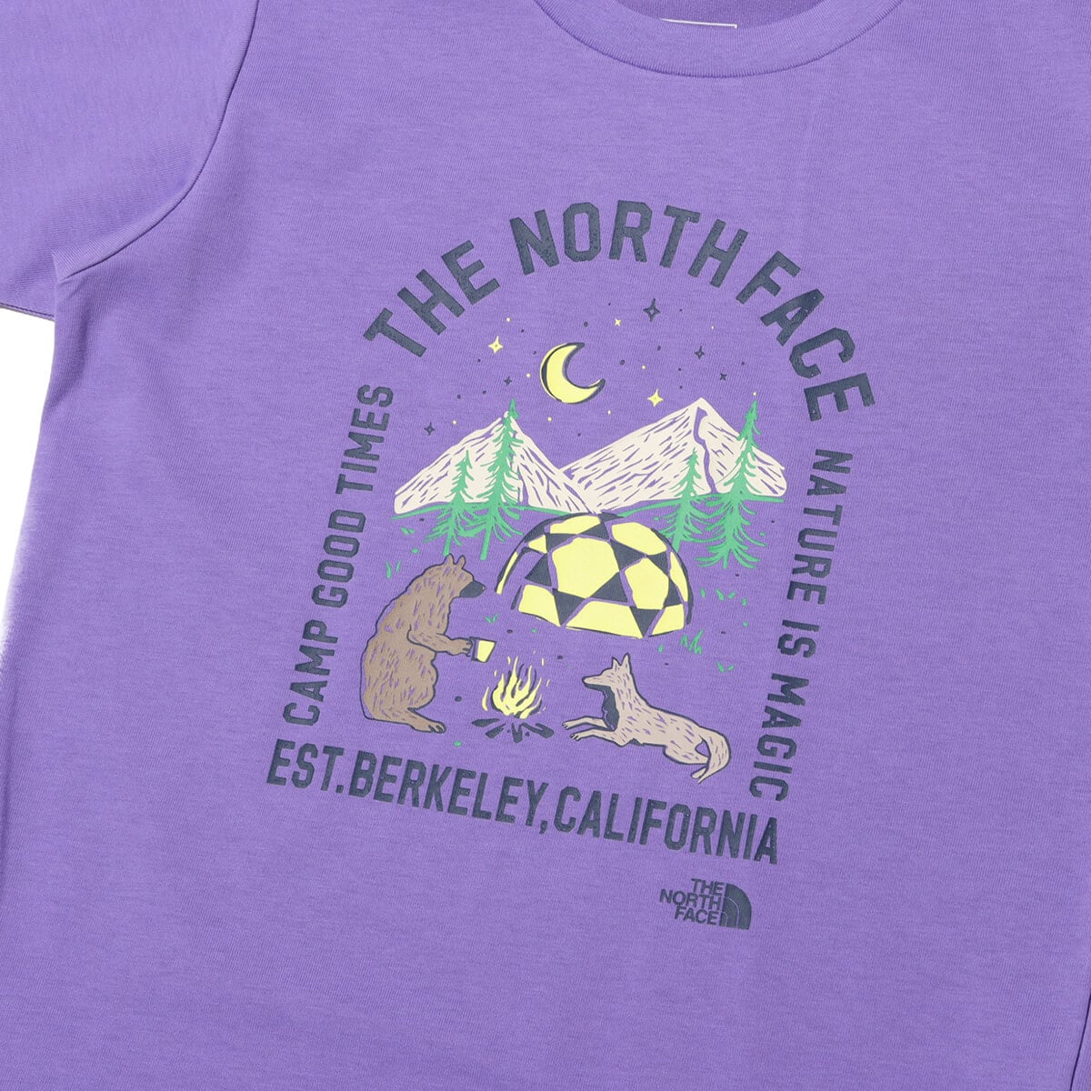 THE NORTH FACE S/S Luminous Camp Graphic Tee オプティックバイオレットの画像