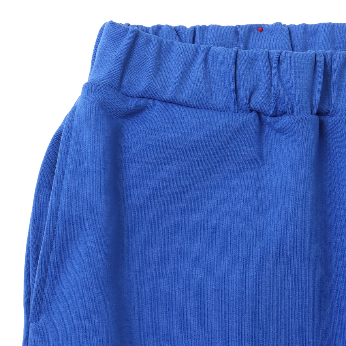 TOKYO 23 Sweat Color Pants BLUE の画像