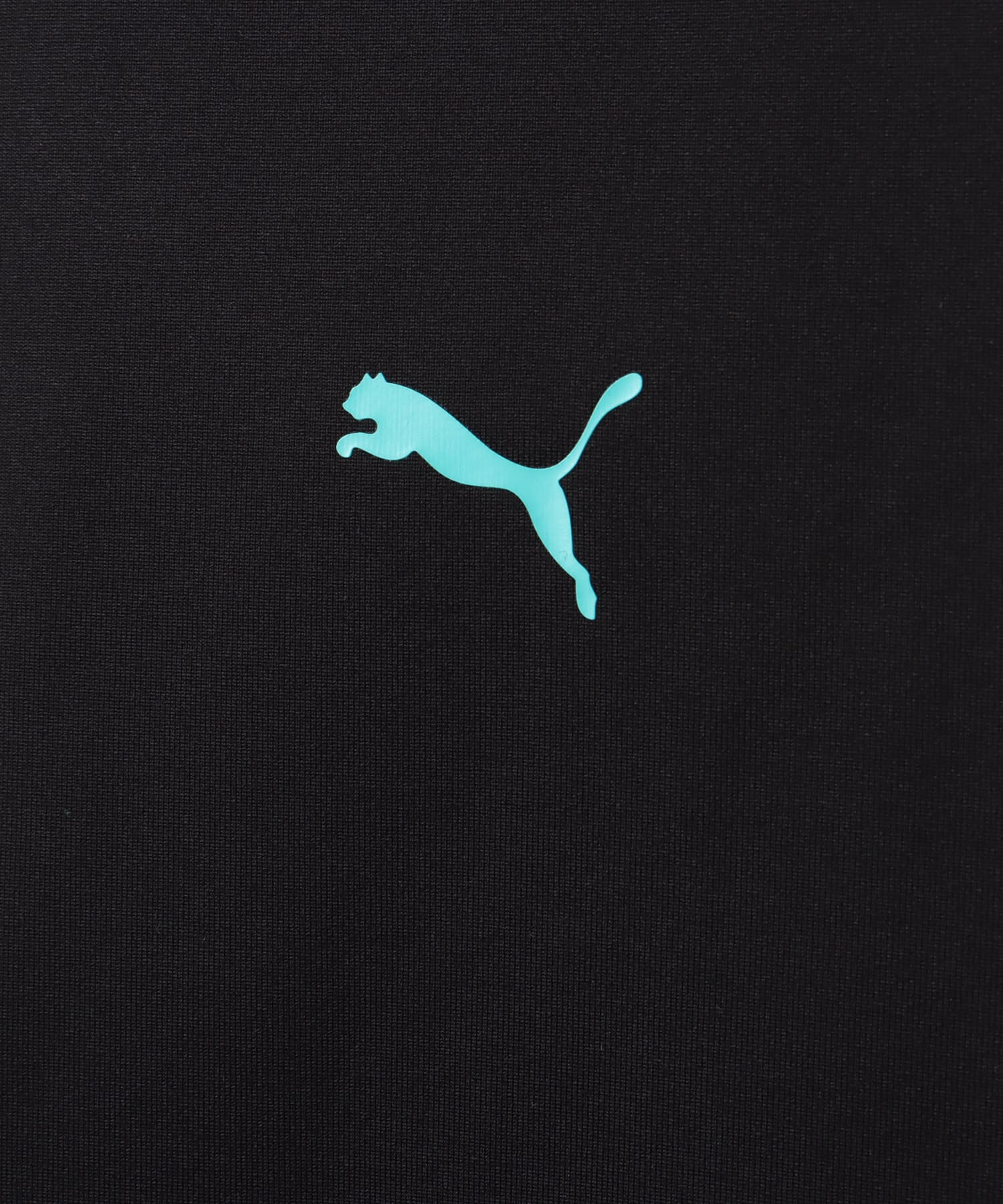 PUMA DARE TO LONG SLEEVE GRAPHIC TE PUMA BLACKの画像