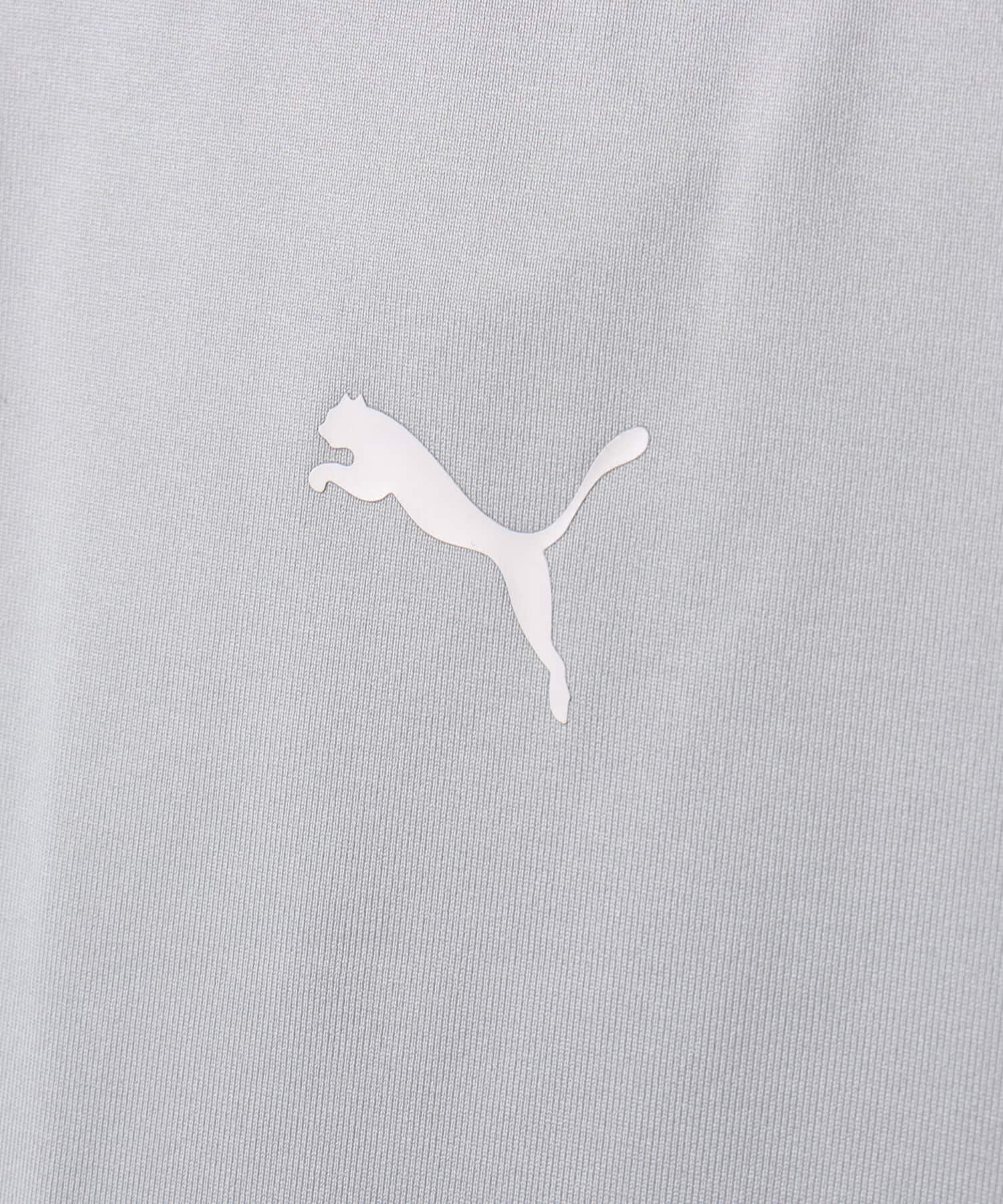 PUMA DARE TO LONG SLEEVE GRAPHIC TEE FLAT LIGHT GRAYの画像