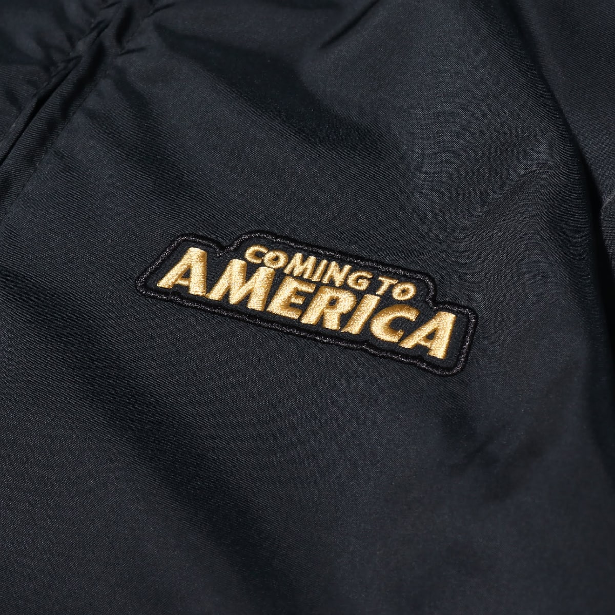 NIKE AS GIANNIS M NK TRACK JACKET C BLACK/METALLIC GOLD 19FA-Sの画像