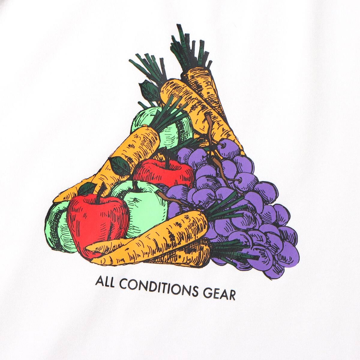 NIKE AS M NRG ACG SS FRUIT & VEG TE SUMMIT WHITE 21SP-Iの画像