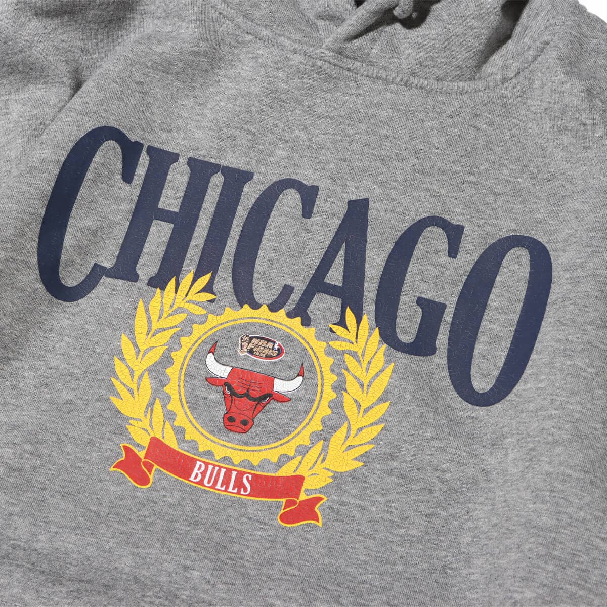 Mitchell & Ness COLLEGIATE HOODIE CBU GREY 23FW-Iの画像