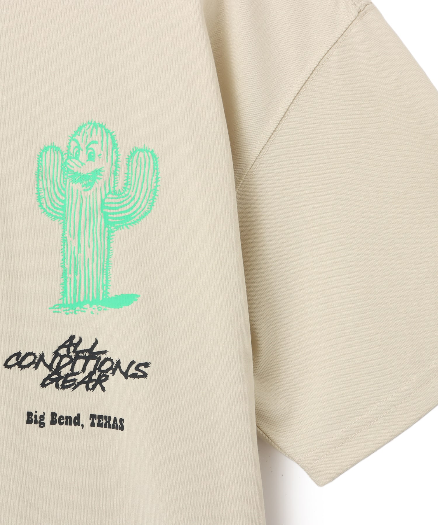 NIKE AS M ACG TEE OC CACTUS LT KHAKIの画像