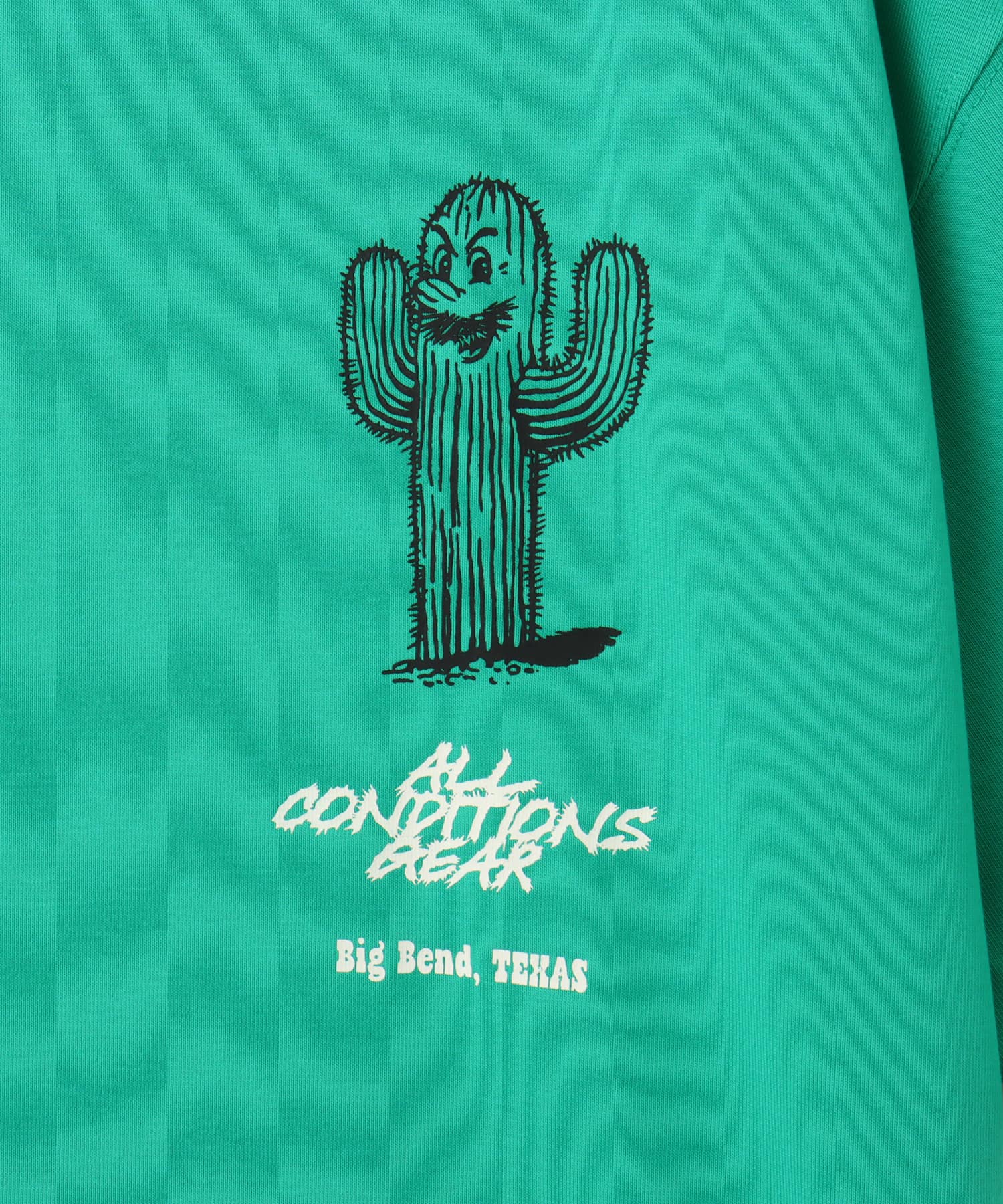 NIKE AS M ACG TEE OC CACTUS STADIUM GREENの画像