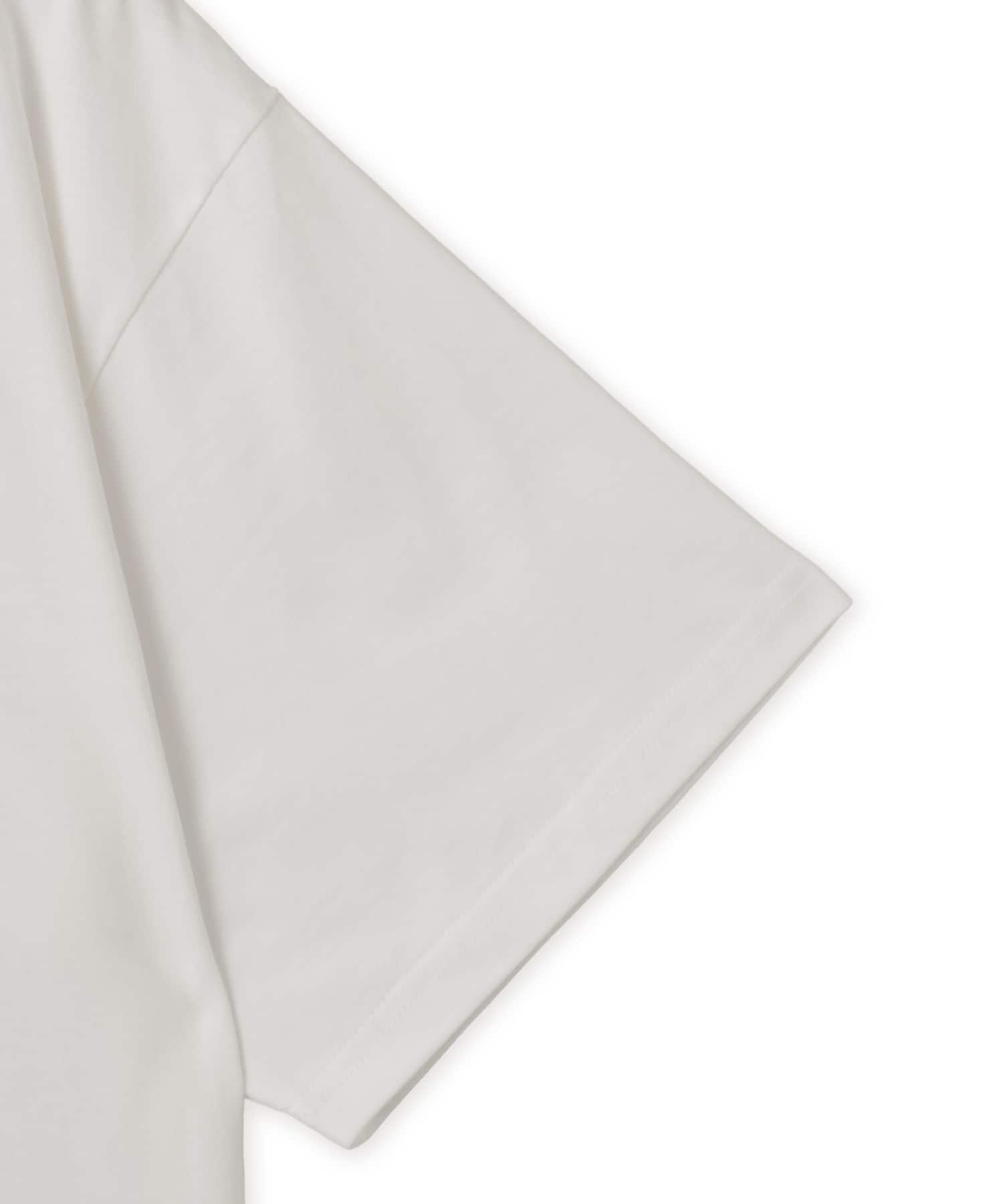 CARHARTT S/S WIPTOPIA II T-SHIRT Whiteの画像