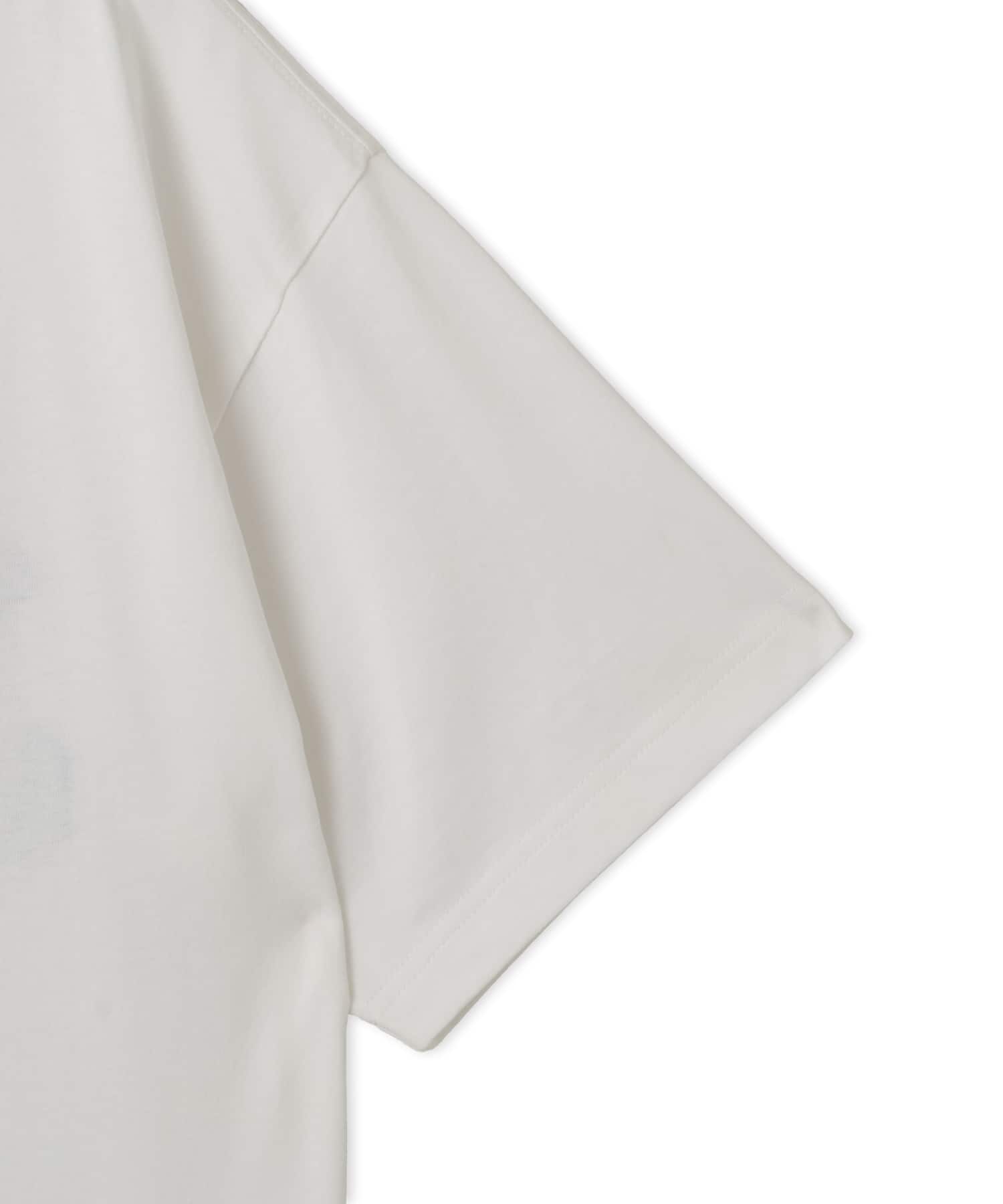 CARHARTT S/S ARCH SCRIPT T-SHIRT White / Dark Navyの画像