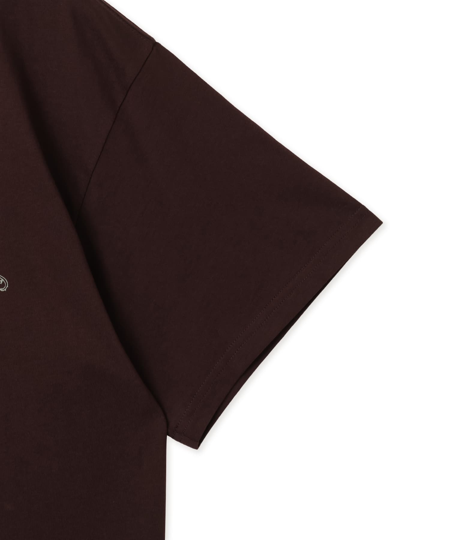 CARHARTT S/S CHEZ WIP T-SHIRT Palisanderの画像