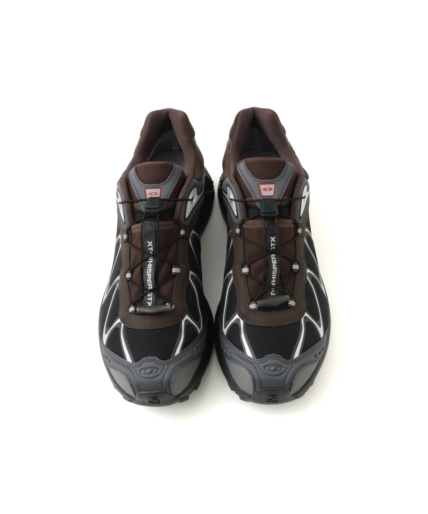 SALOMON XT-WHISPER GTX DELICIOSO/ASPHALT/CASTLEROCKの画像