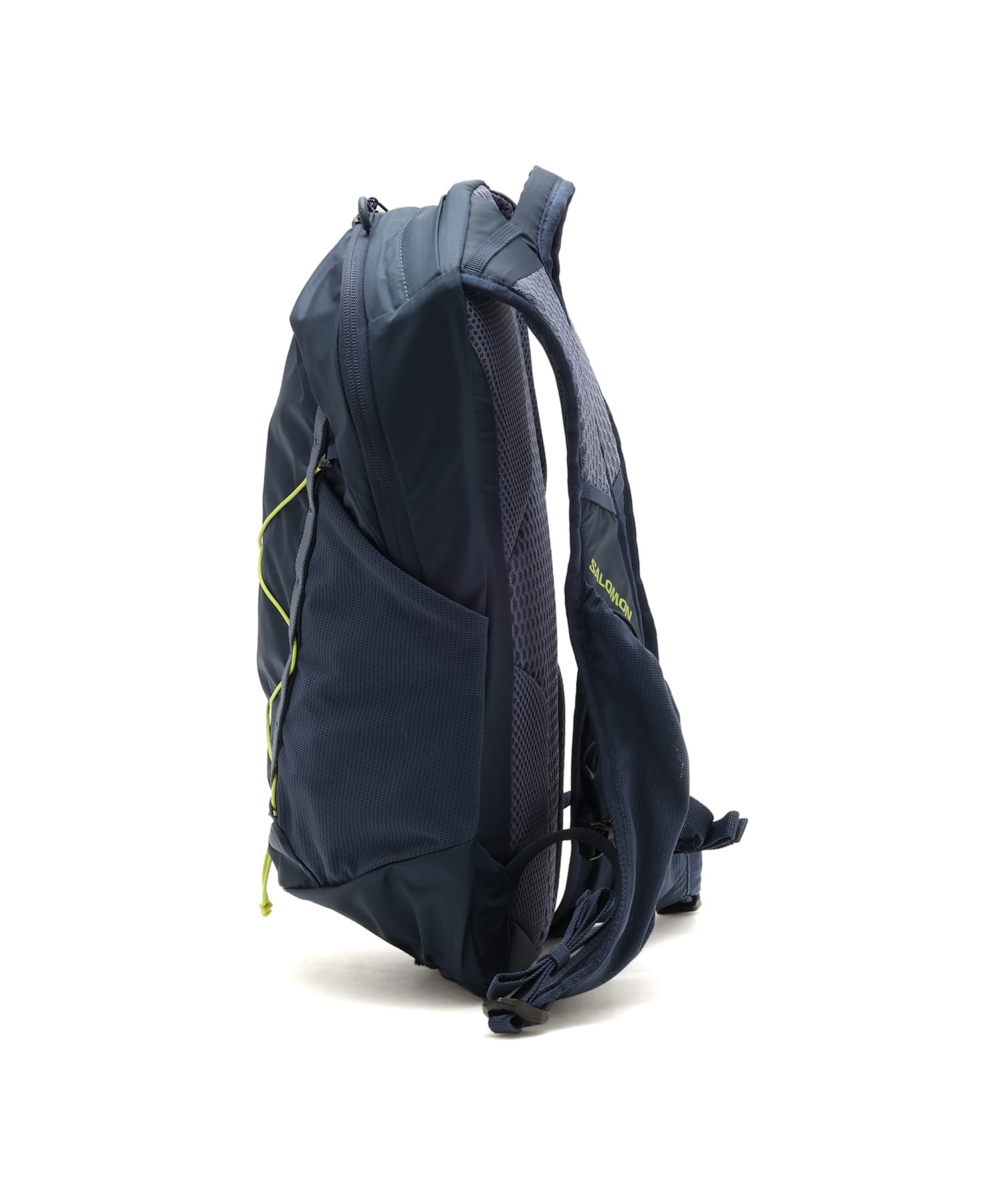 SALOMON XT 10 SPELLBOUND/GRISAILLE/BRIGHT CHARTREUSEの画像
