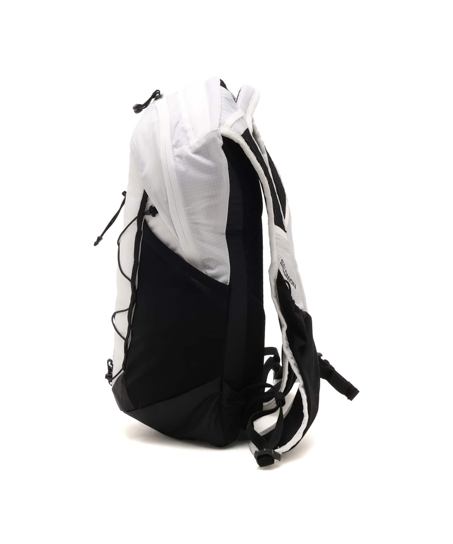 SALOMON XT 10 WHITE/BLACKの画像
