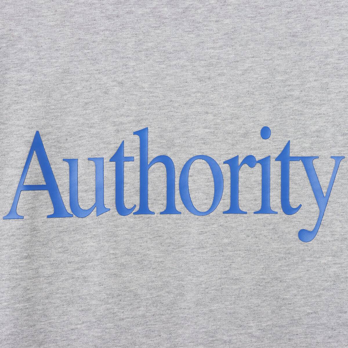 atmos Authority T-shirt GRAYの画像
