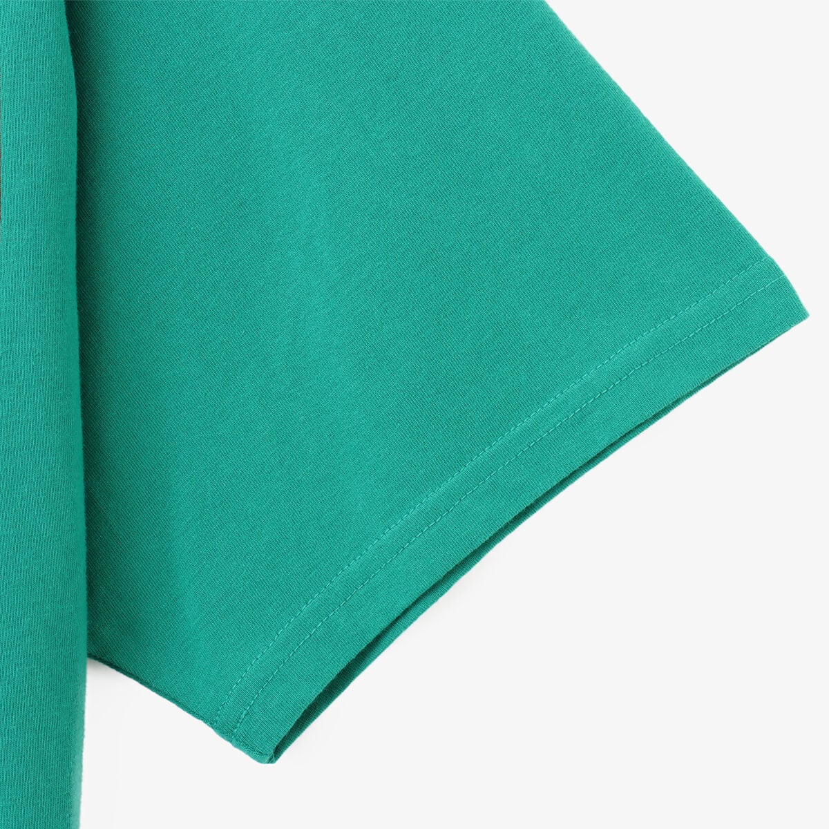 atmos College Logo Crack Print T-shirt GREEN の画像