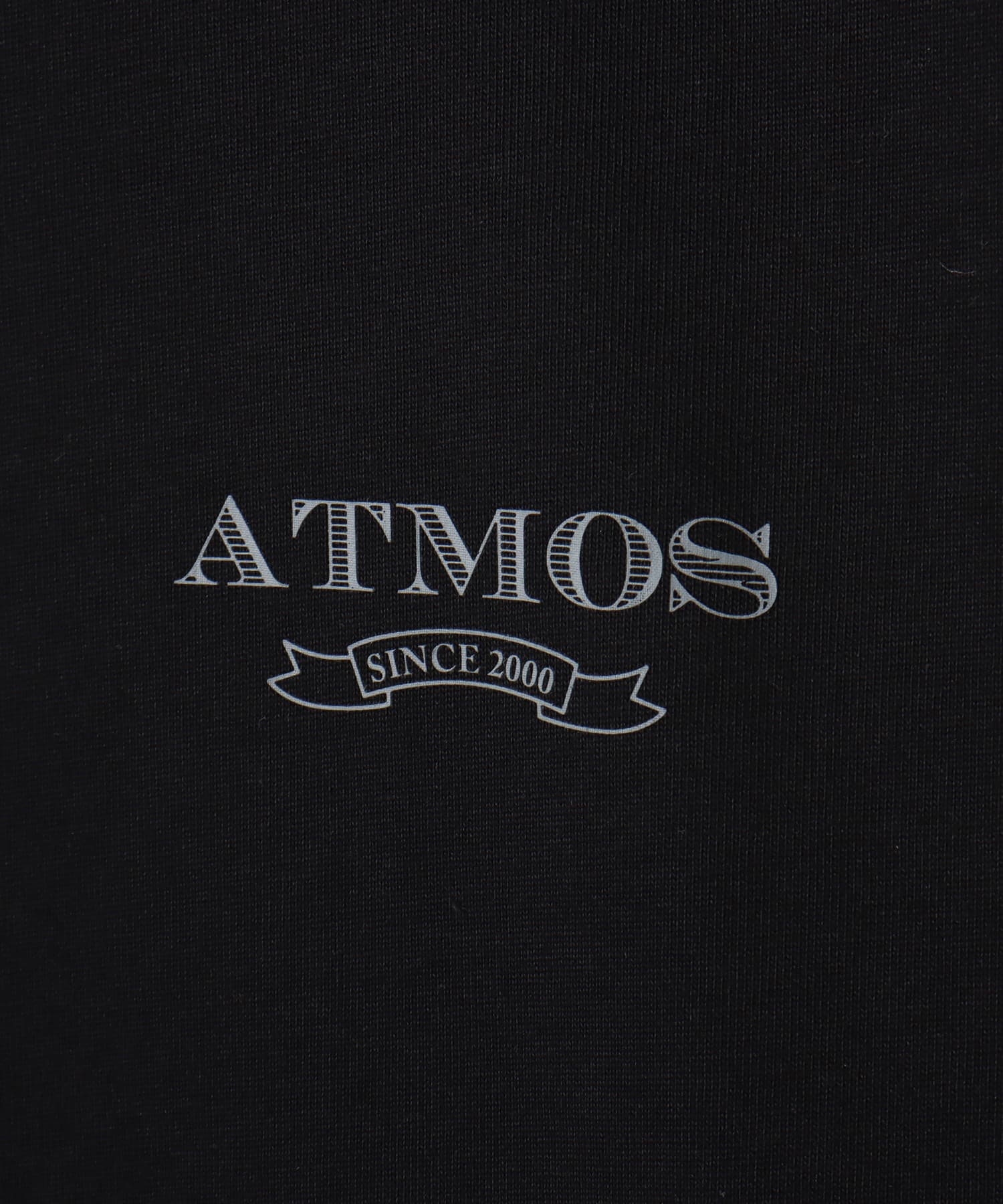 atmos Emblem Logo LS T-shirt BLACKの画像