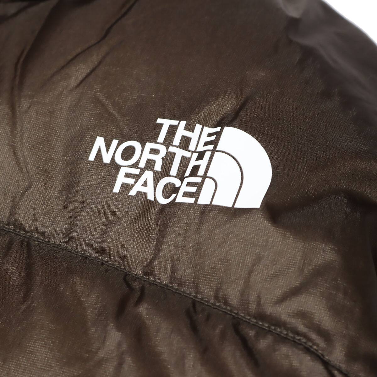 THE NORTH FACE ZI MAGNE ACONCAGUA JACKET ニュートープの画像